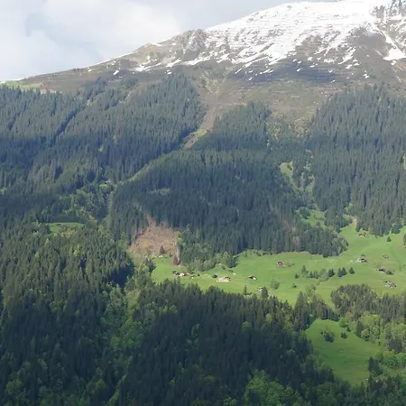 Maisaess Lifinarblick * Schruns