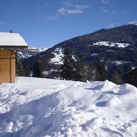 Maisaess Lifinarblick * Schruns