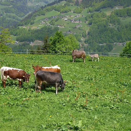 Casa vacanze Maisaess Lifinarblick *